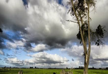 开云APP-塔斯马尼亚联核心球员体能管理，世俱杯冲刺关键因素