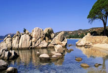 开云官网-国内足球擂台赛展现精彩比拼