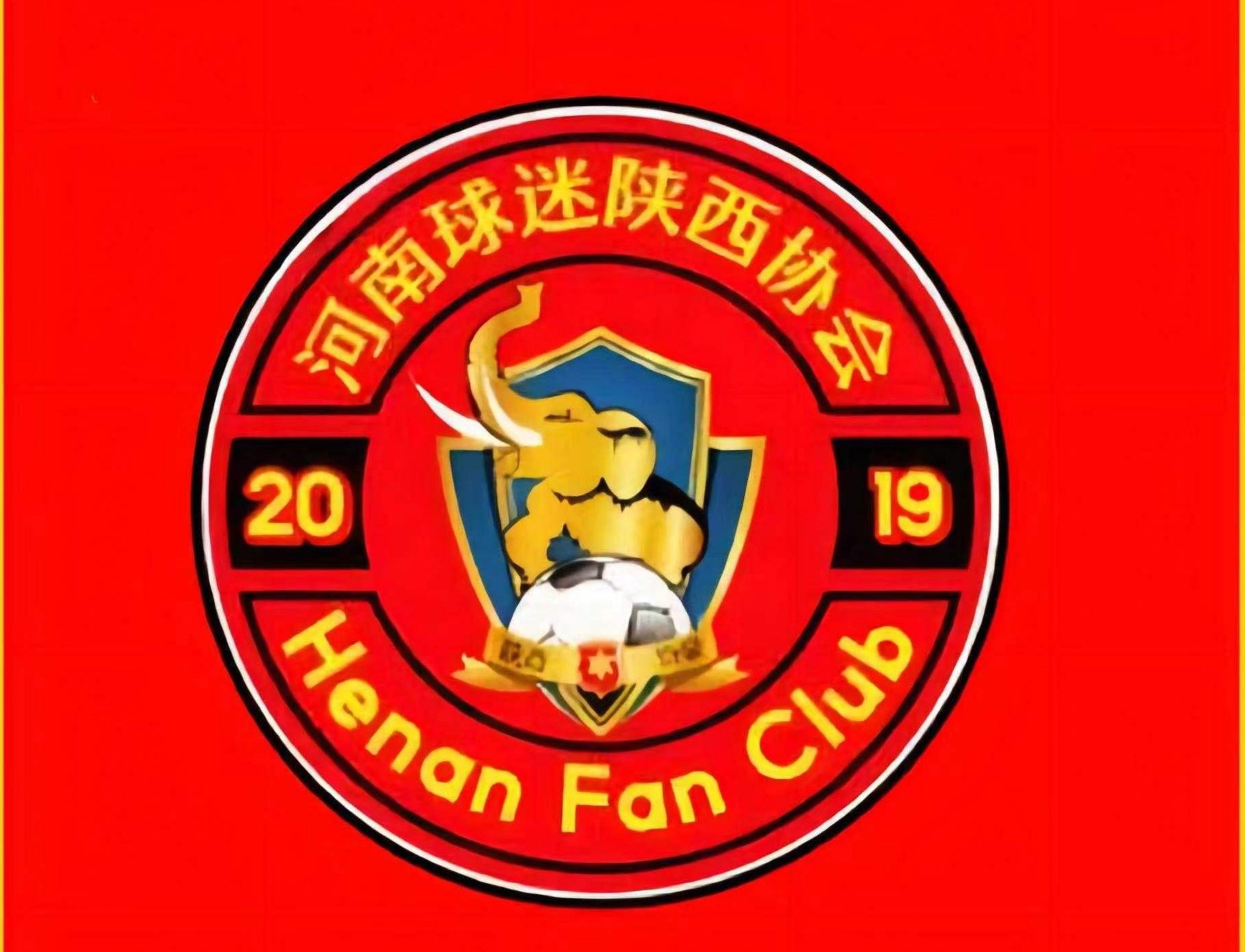 开云体育登录-关于建业主场失利，球迷心疼不已的信息