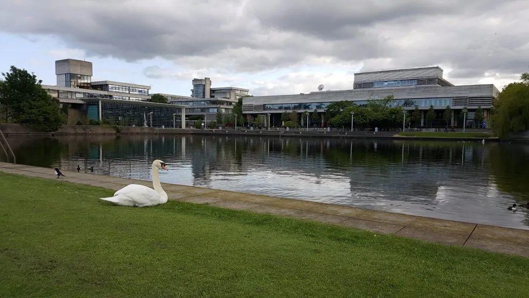 爱尔兰选手稳定发挥,赢得好评 爱尔兰选手稳定发挥,赢得好评