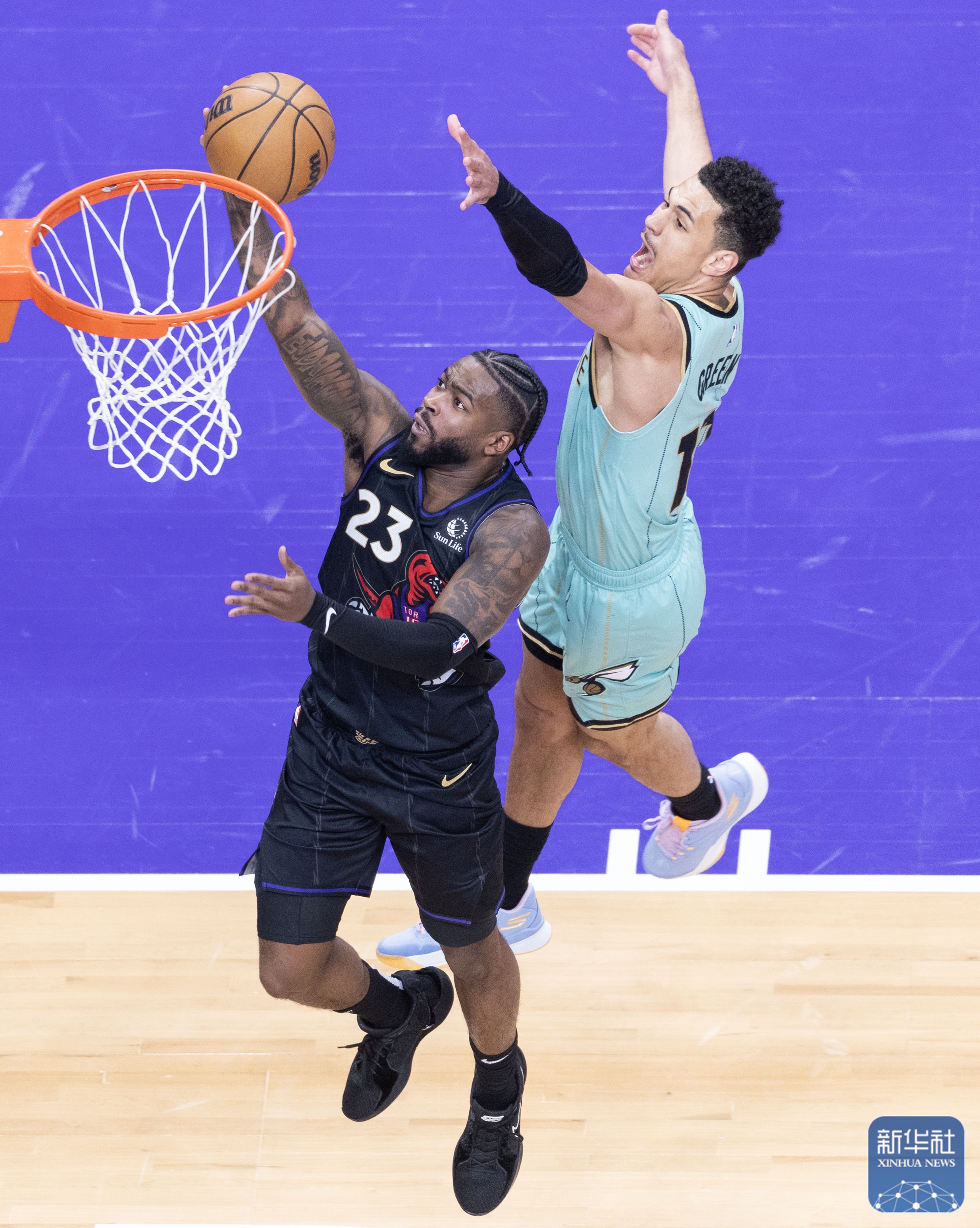 关于猛龙在主场完胜,成功卫冕西部王座的信息 关于猛龙在主场完胜,成功卫冕西部王座的信息