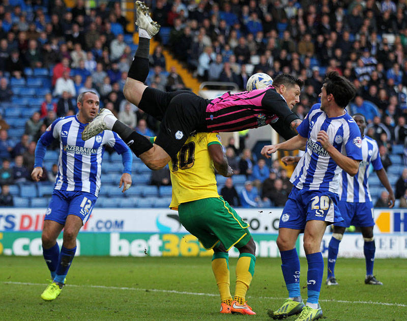 关于诺维奇备战下一场比赛,球队引领全队迎战的信息 关于诺维奇备战下一场比赛,球队引领全队迎战的信息