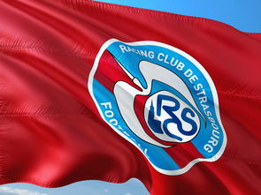 开云官网-帕尔梅拉斯球队目标明确，誓夺世俱杯最高荣誉