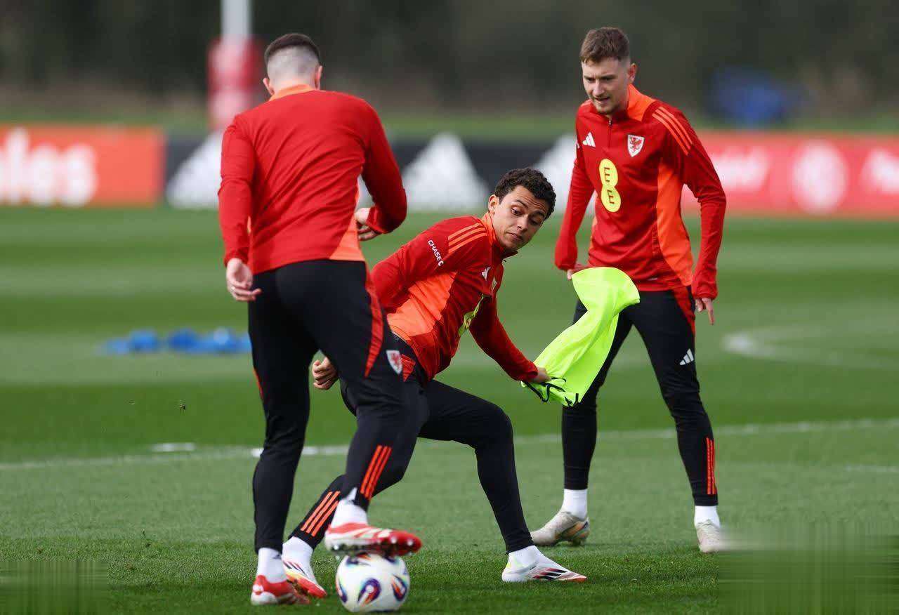 开云体育在线-瑞士队击败威尔士队战胜晋级