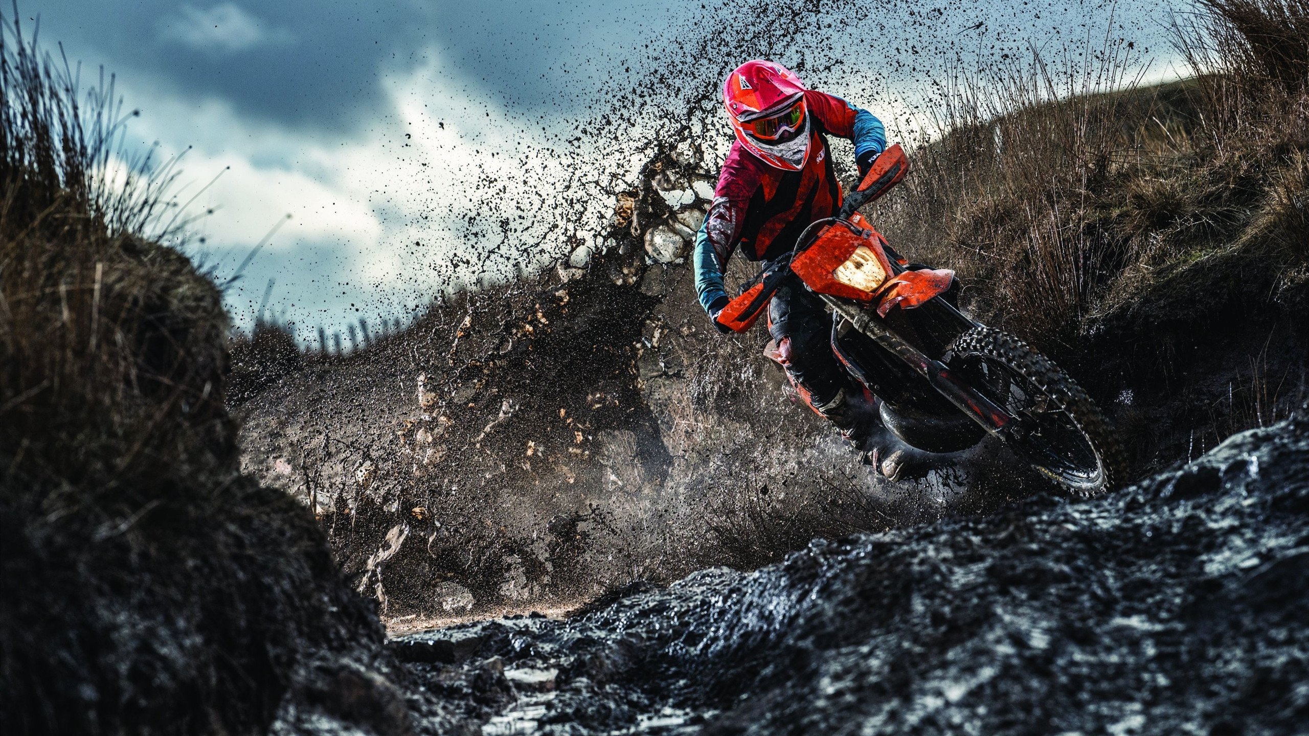 开云平台-教科书与启示录，德里赫特的防守艺术与阿尔及利亚的战术压制